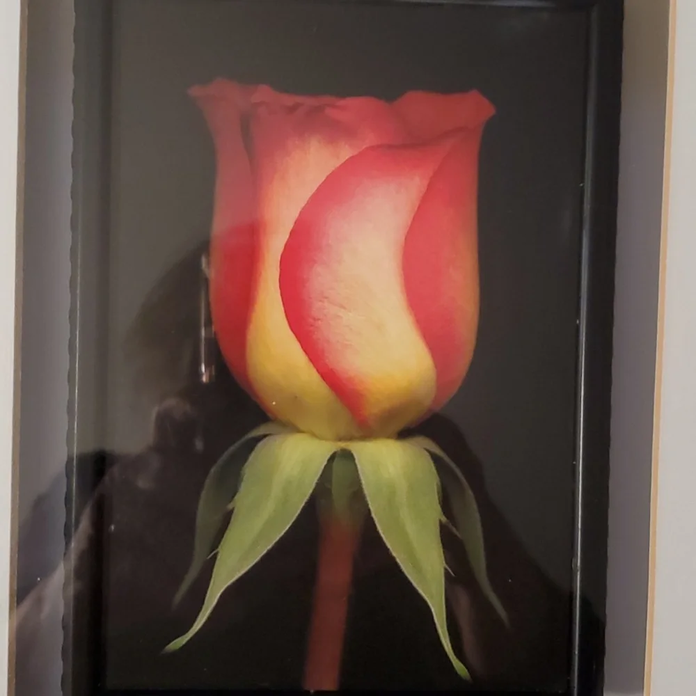 Z Gallerie Wall Art